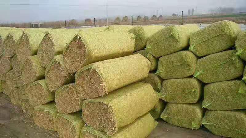 新型卧式液压秸秆打包机 全自动锯末牧草压缩机 废纸打包打捆机