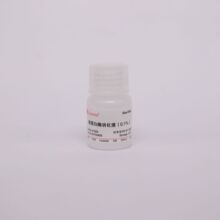 X1020-10ml 胰蛋白酶消化液（0.1% 用于抗原修复）索莱宝