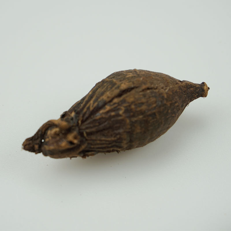 香料调料大全 槟榔个 槟榔壳 黑槟榔果 鸭脖卤料100斤