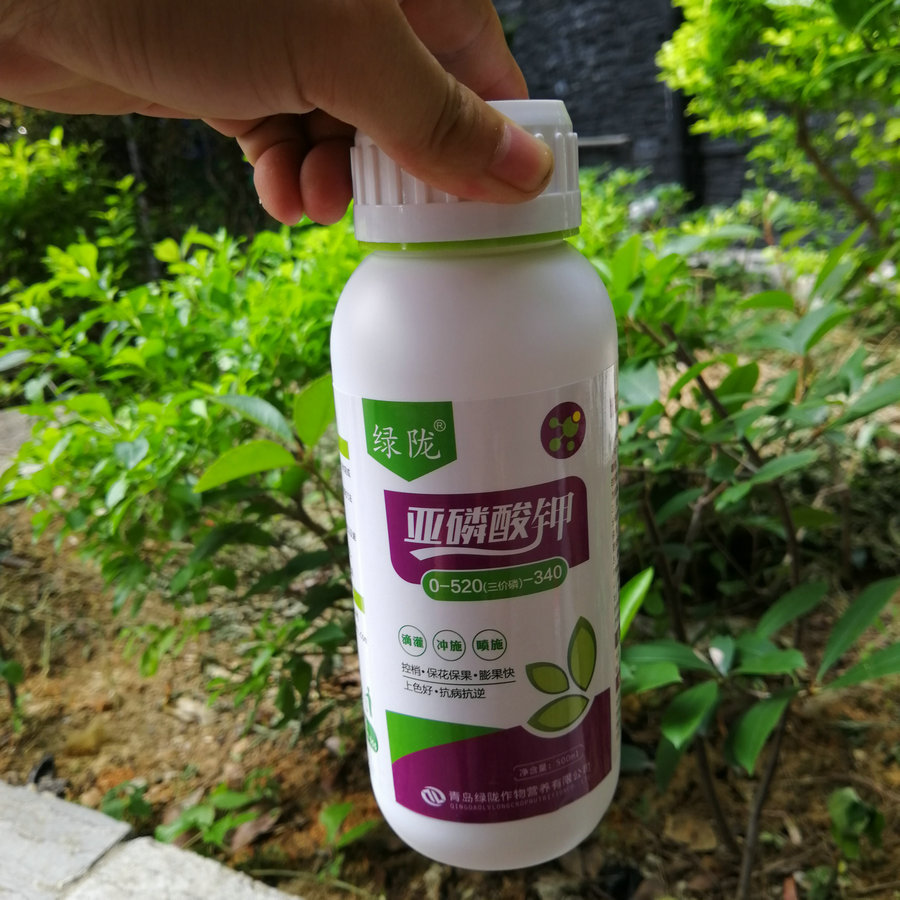 绿陇果树肥料亚磷酸钾柑橘控稍保花保果膨果上色喷施肥芒果百香果
