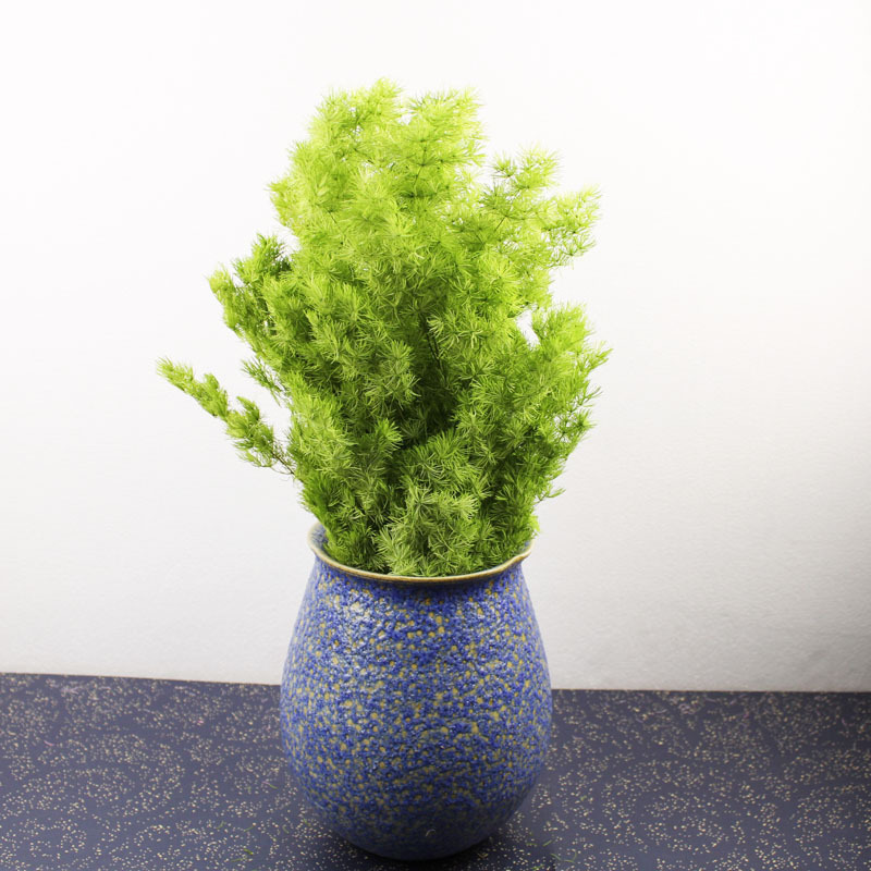 宏鹰花卉云南天然干花批发永生花蓬莱松装饰艺术家居摆设配花干枝