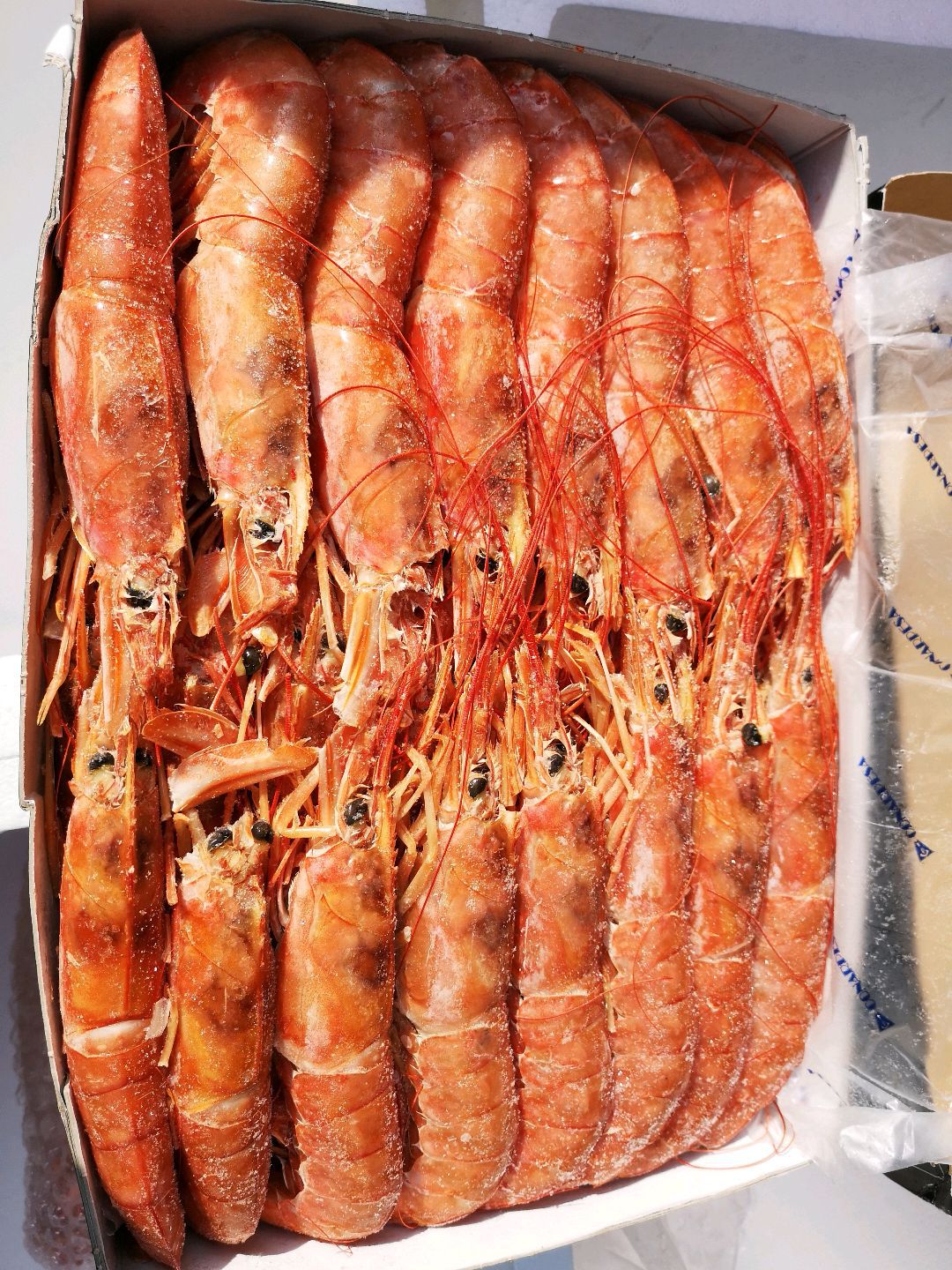 批发供应进口阿根廷红虾2kg海鲜刺身大海虾l1船冻红虾