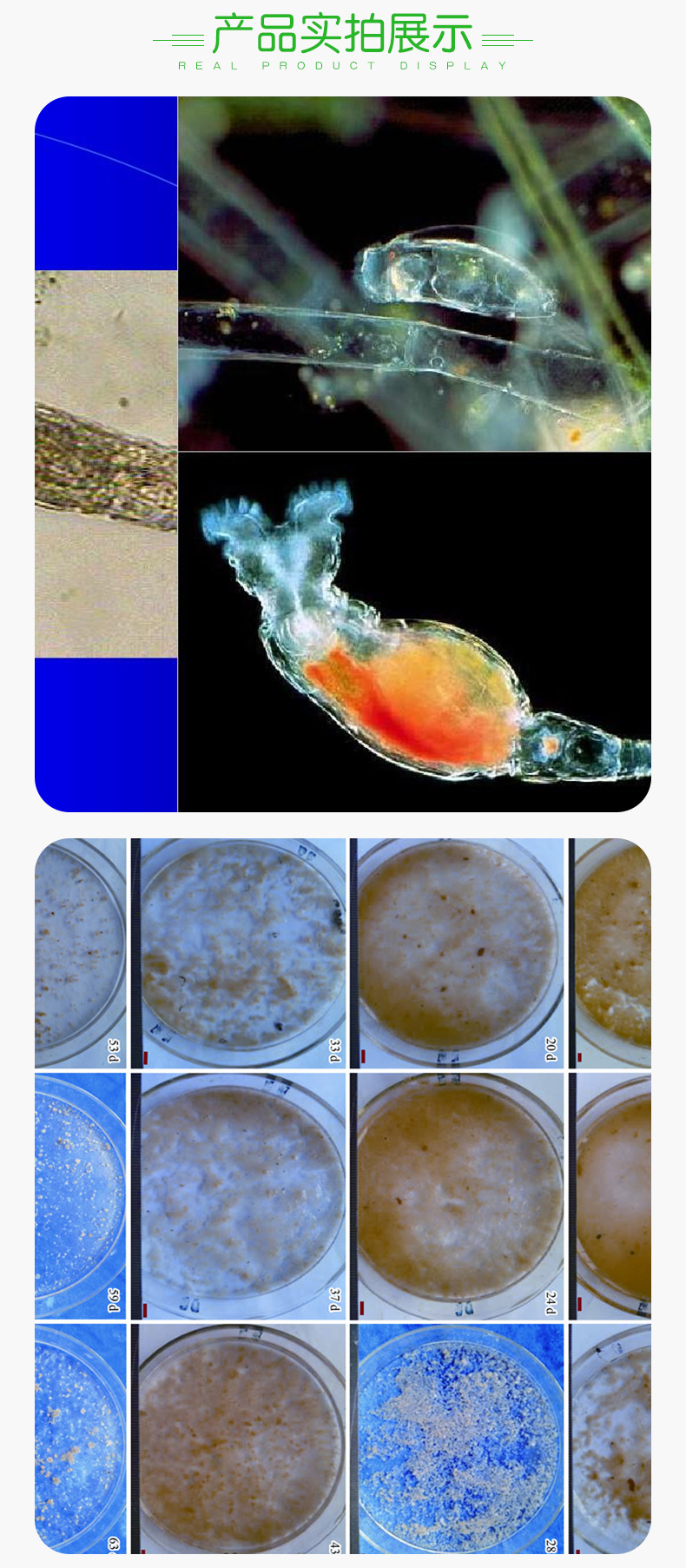 产地 无锡 是否进口 否 型号 生物好氧菌 货号 kj