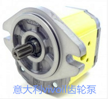 Italian Vivoil Gear Pump XV-2P/30 Vivolo Vivoil Gear Pump