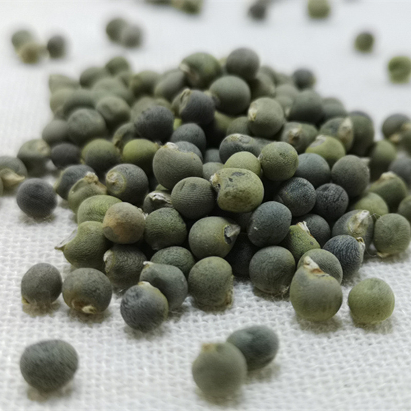 批发 中药材 黄秋葵籽 秋葵籽 黄蜀葵子 新货 承接订单