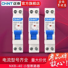 正泰家用空气开关小型断路器 NXB-40 1P+N 双进双出C型小型断路器