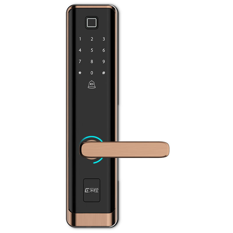 大华乐橙智能云锁k6指纹锁家用防盗门智能锁密码锁app远程管理锁