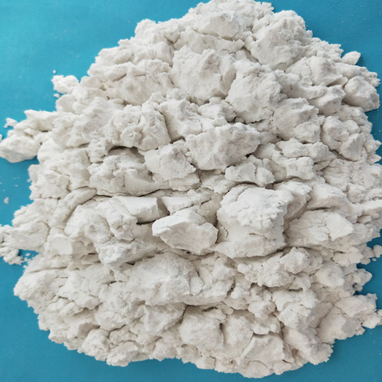 生产批发吸附助滤剂专用硅藻土 硅藻泥用硅藻土 超白超细-报价