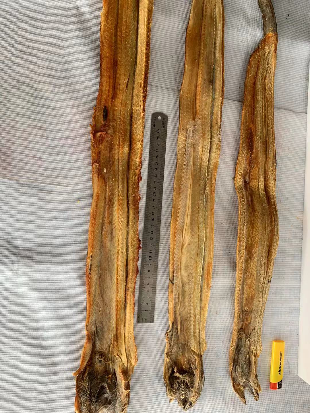 东海龙鱼干鳗鱼干 跑江湖地摊热卖淡晒海东海鳗鱼干