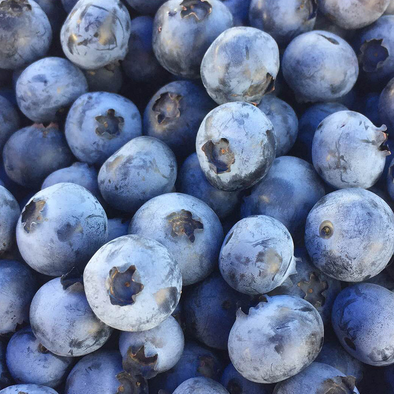 武汉蓝色果香生态农业有限公司