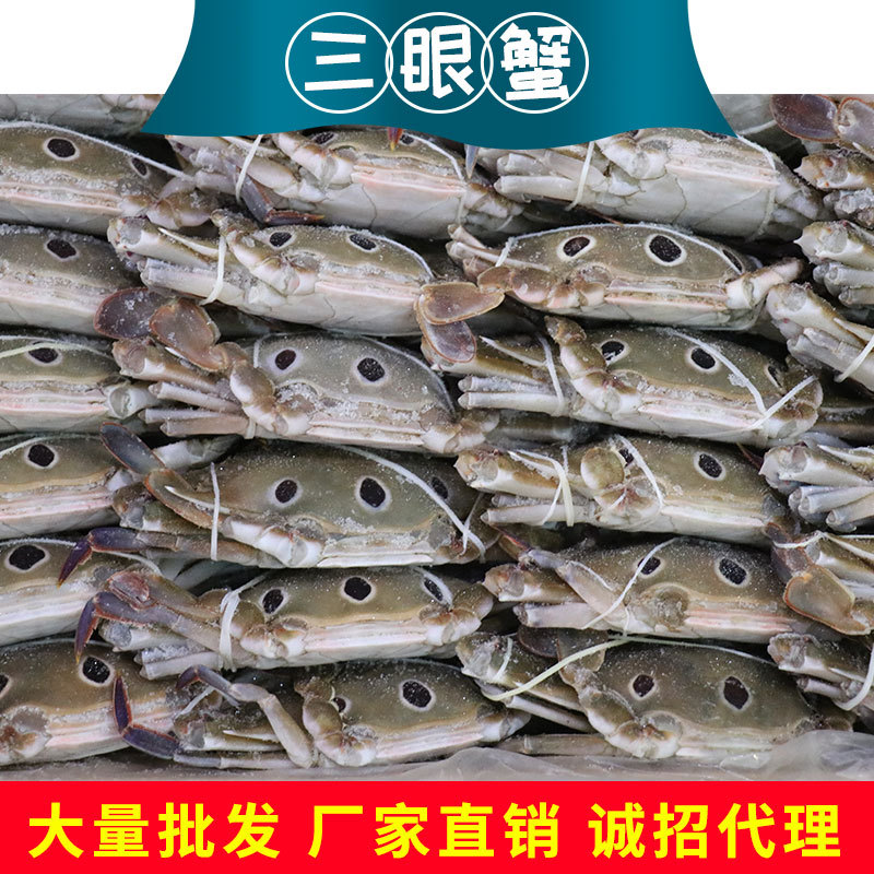 现货批发梭子蟹三眼蟹水产海鲜新鲜船冻产地直发速冻梭子蟹大螃蟹-阿