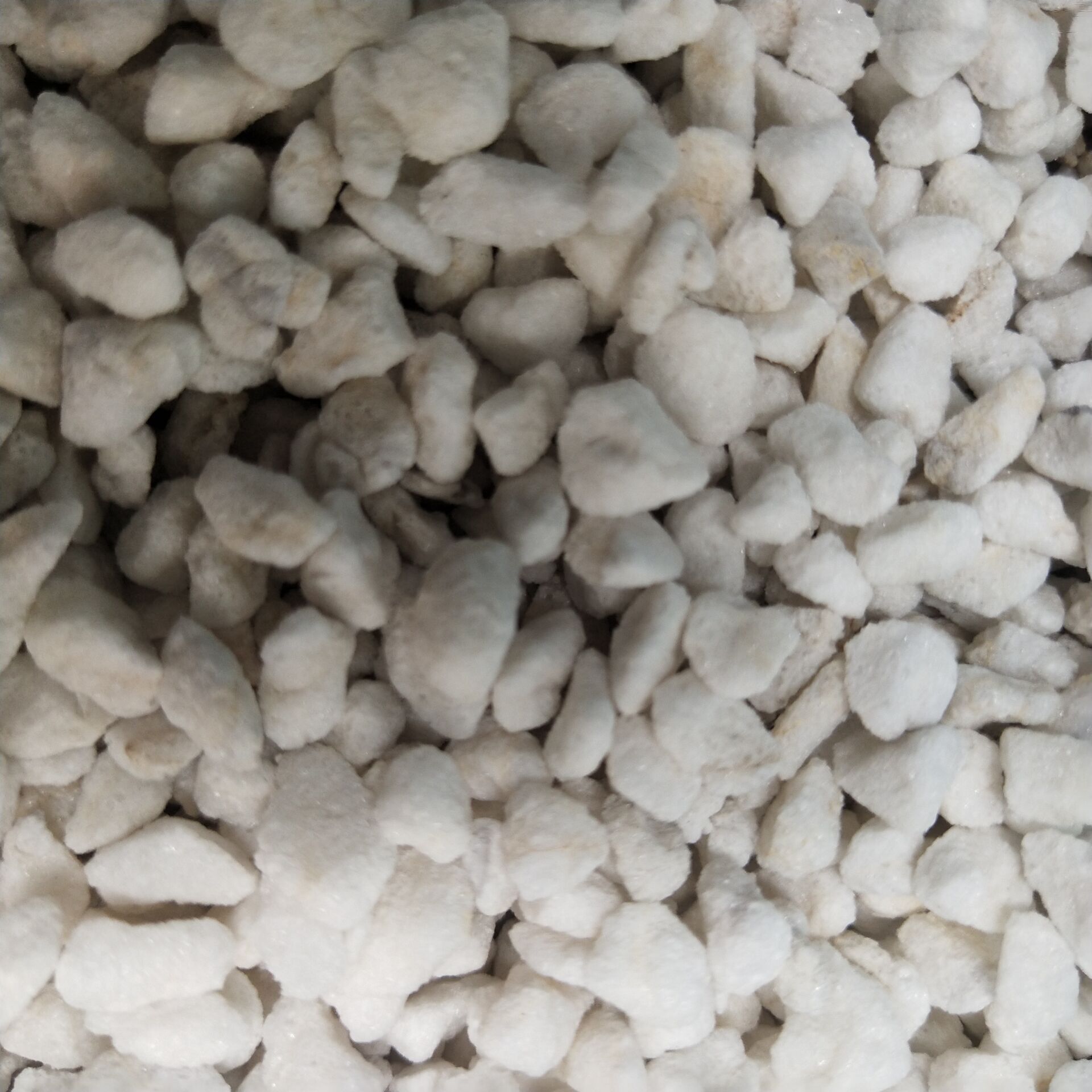 大颗粒珍珠岩 兰花专用君子兰用 洗涤用珍珠岩 4-8mm 100升