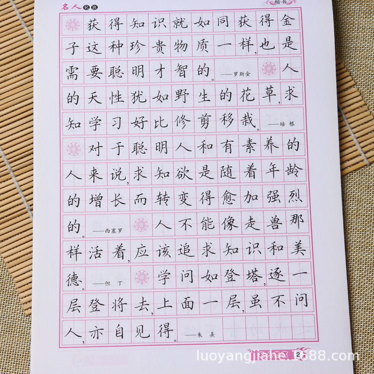 硬笔字帖临摹本 赵国祥硬笔楷书名人名言书法字帖成人小学生临摹