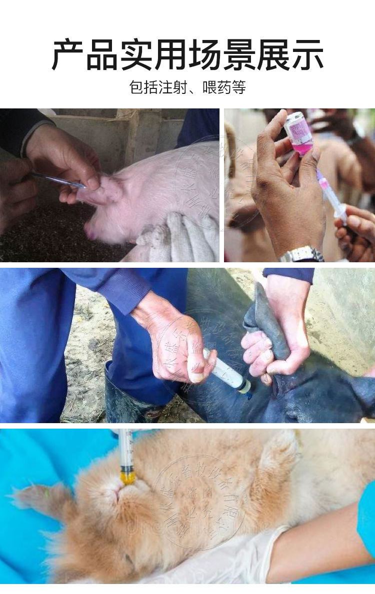 兽用一次性注射器10ml带针头塑料针筒小针管注射针器养殖设备