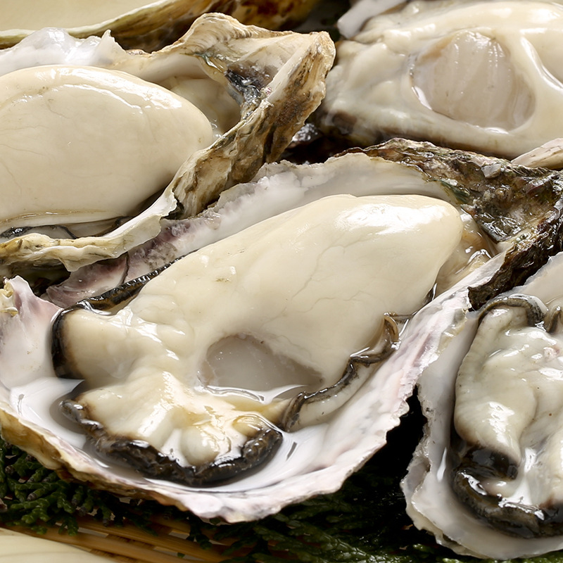 乳山生蚝,牡蛎,刺身蚝,纯净蚝