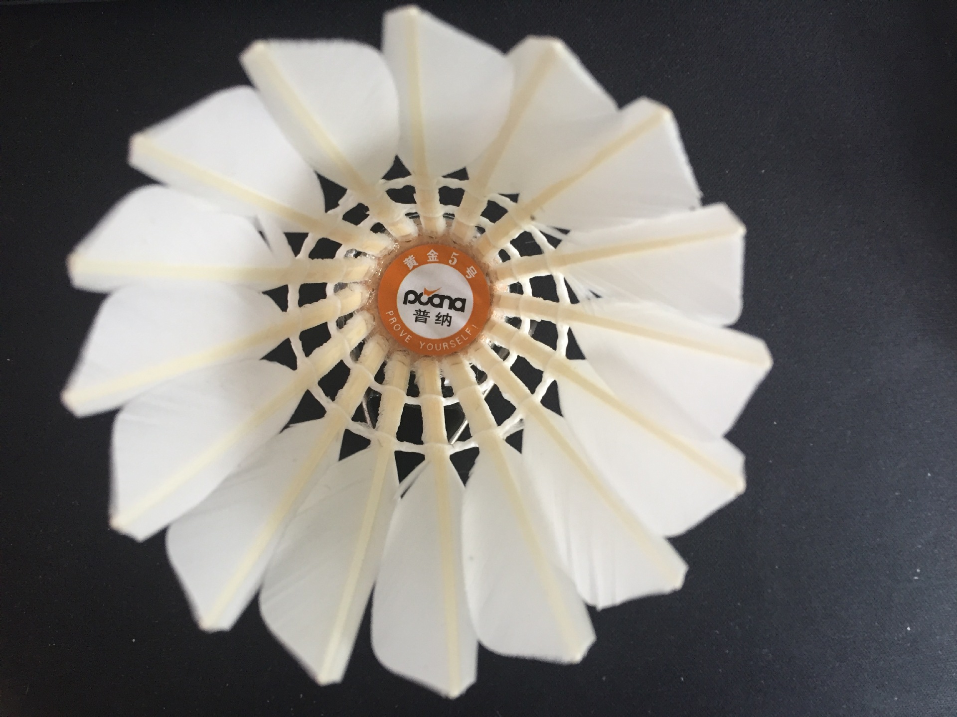 正品普纳黄金5号羽毛球 批发代理 厂家直销