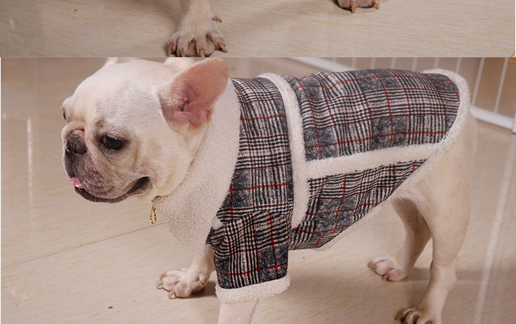 狗狗衣服秋冬款法斗雪纳瑞宠物潮牌衣服巴哥两脚加绒外套拉链外套