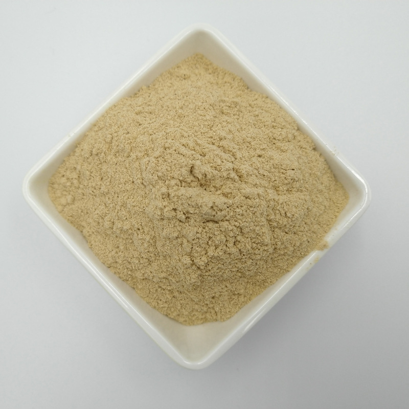 香菇硒200ppm天然有机硒 富硒香菇粉 富硒蘑菇粉厂家销售现货包邮西海