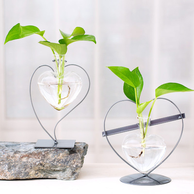 创意心形绿萝水植物水培容器玻璃插花瓶花器盆栽装饰摆件情人礼物