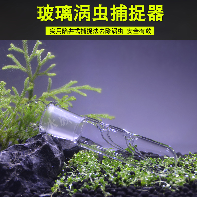 玻璃涡虫水蛭诱捕器涡虫捕捉器涡虫笔吸涡虫蜗虫诱捕器虾缸除涡虫
