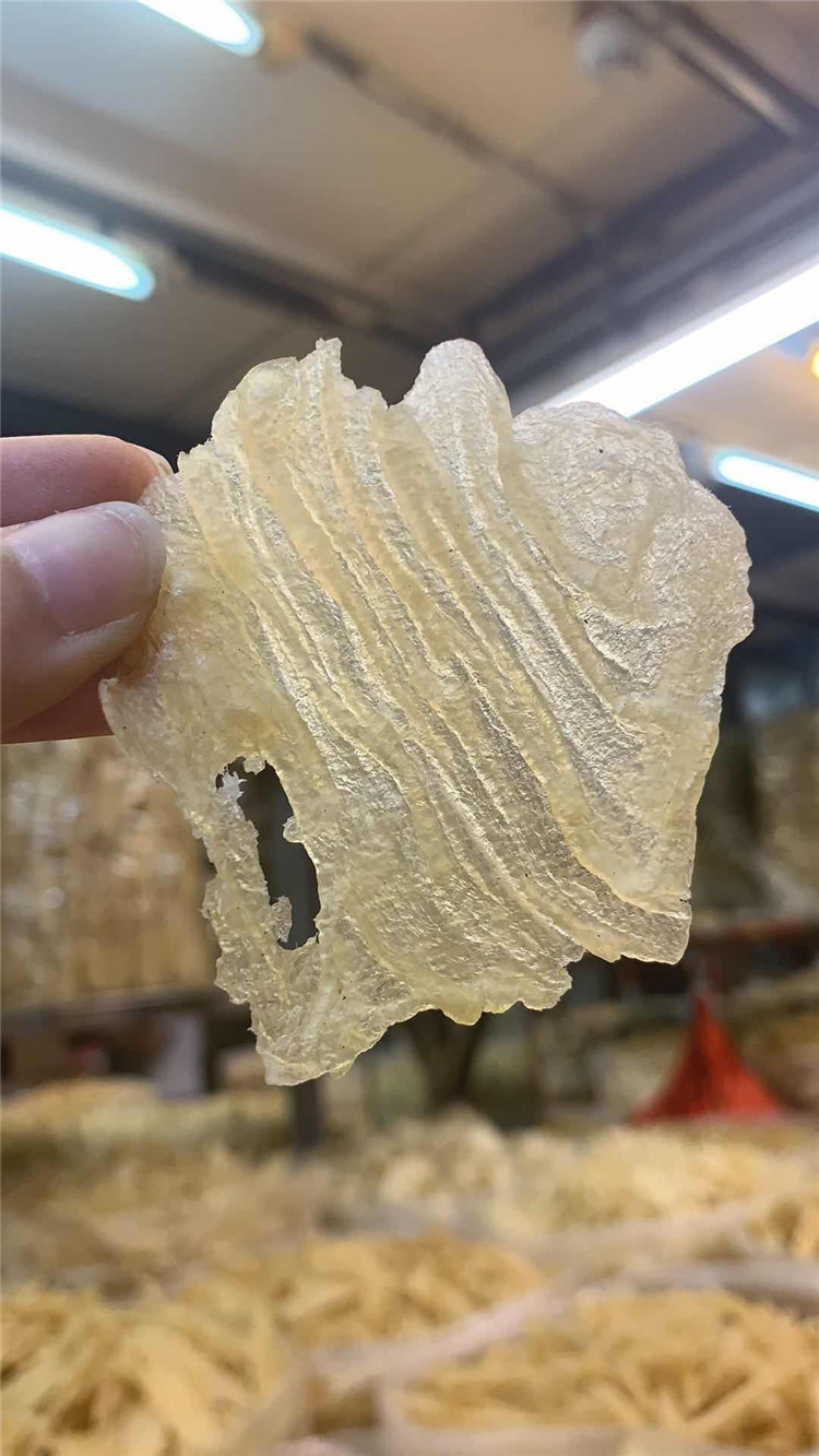 小号斗湖胶_本地小号斗湖胶 鱼胶 花胶 花胶冻 500克一件代发 - 阿里