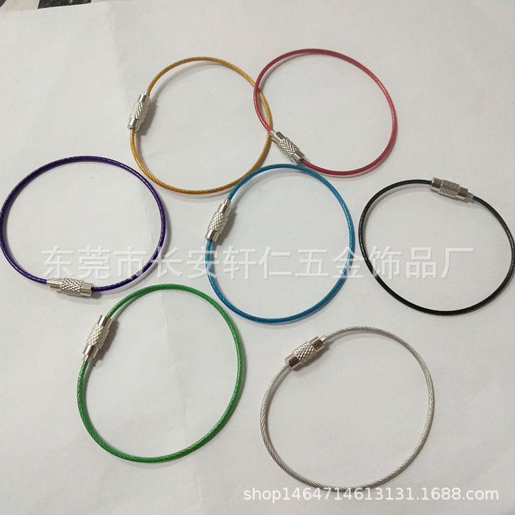In Stock Wholesale Steel Wire Rope Ring Keychain Stainless Steel Color Coated Steel Traveller Wire Lock Large Quantity Bargaining