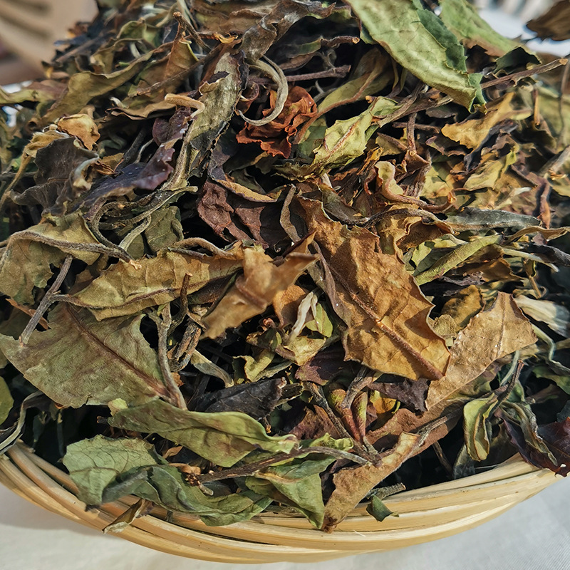 云南古树白茶 香甜 源头批发 当年白茶 老白茶 普洱白茶 年份白茶