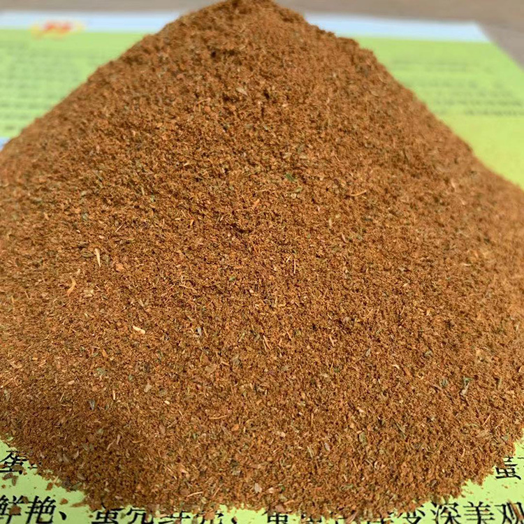 供应松针粉 饲料添加专用 绿色 量大优惠欢迎新老客户订购洽谈