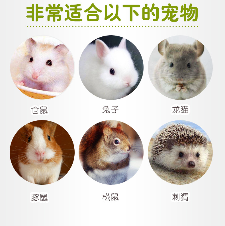 宠尚天 仓鼠兔子磨牙棒 甜竹 金丝熊荷兰猪龙猫用品兔兔零食