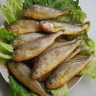 小黄鱼正宗东海野生黄花鱼海鲜冷冻肉嫩味鲜700g装的价格非常实惠