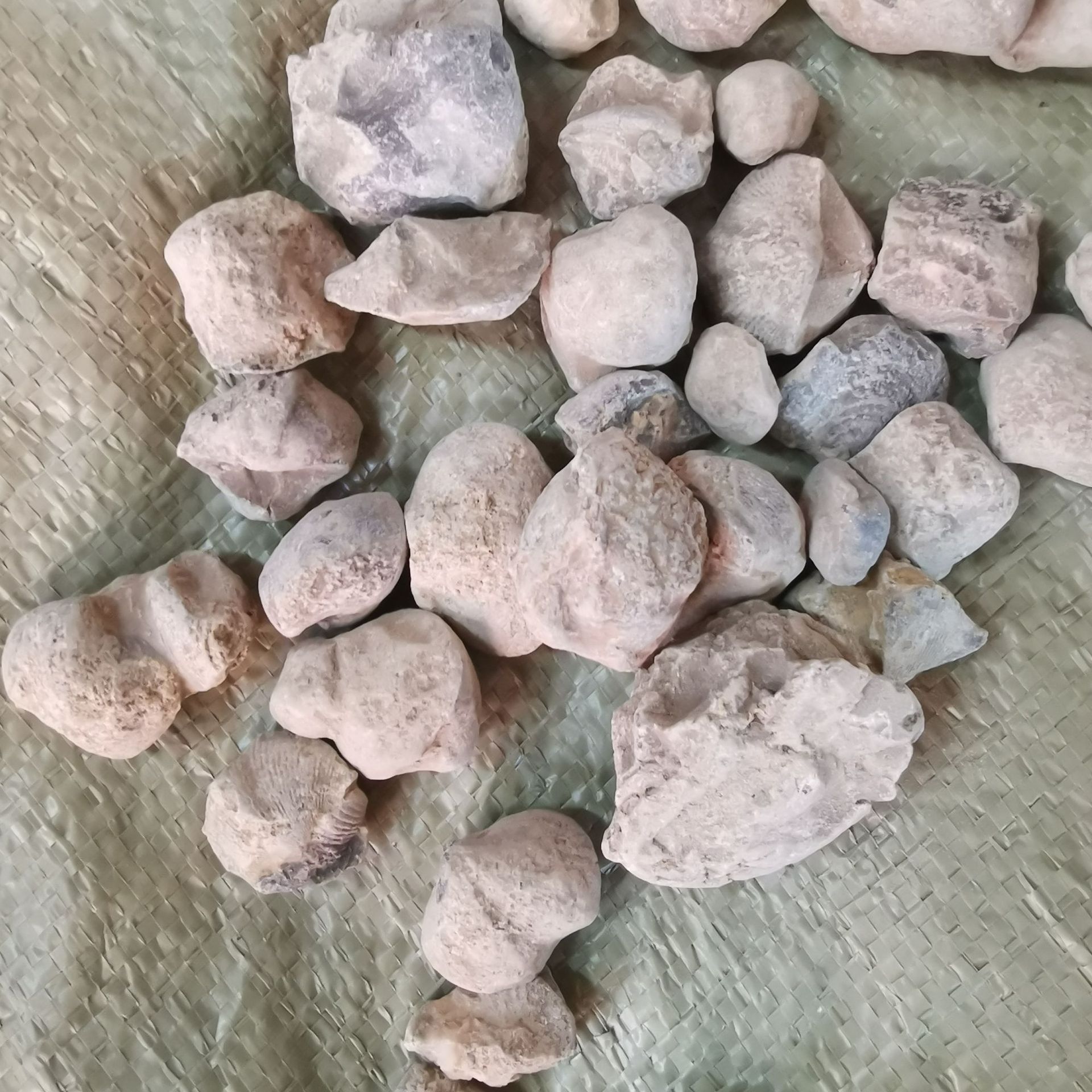 中药材 石燕子 矿石 石燕 燕子石 水飞石燕 可打粉 量大从优