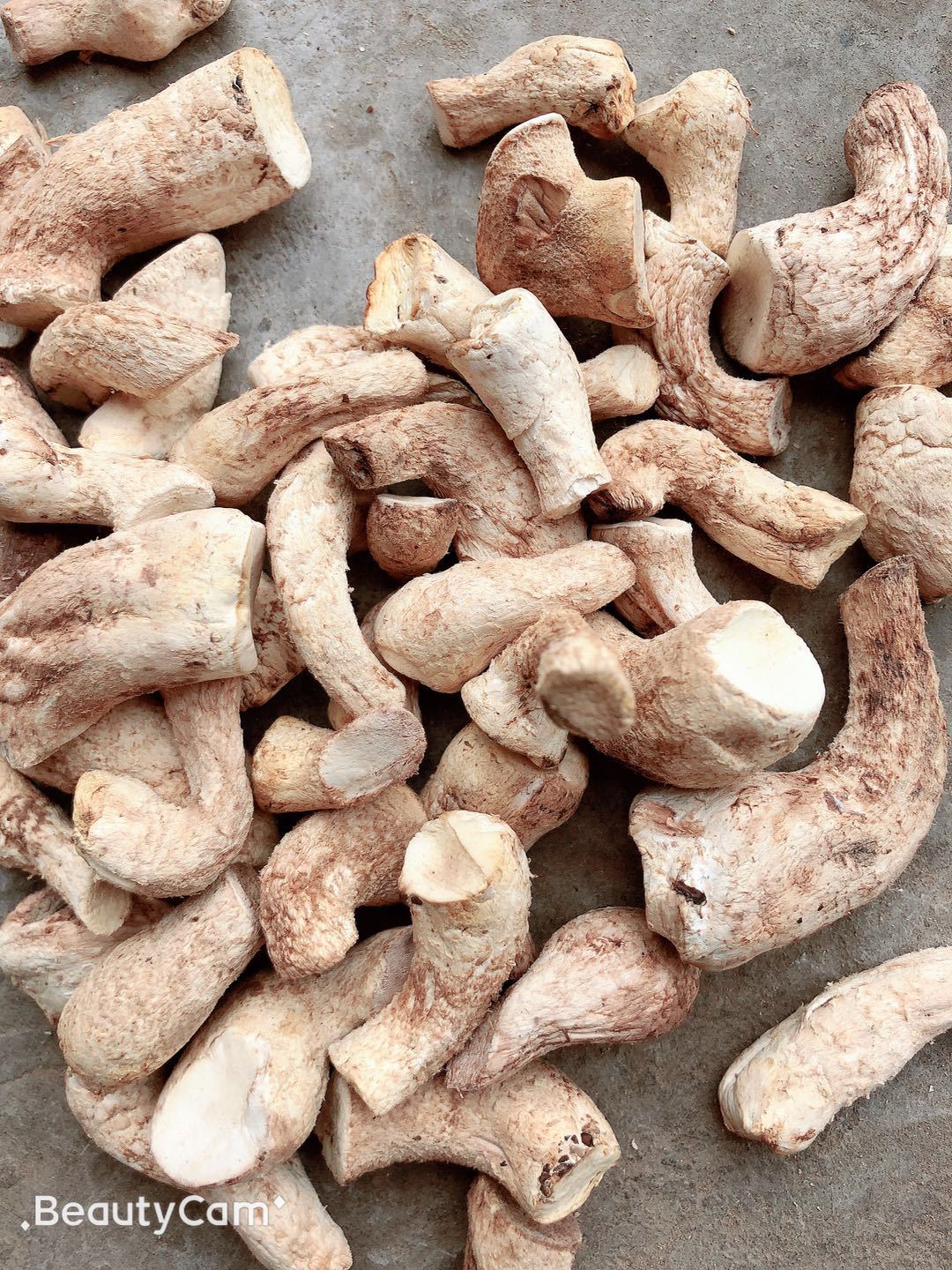 香菇干货打磨小双剪香菇脚 菇脚丁 9元每斤产地直供香菇批发