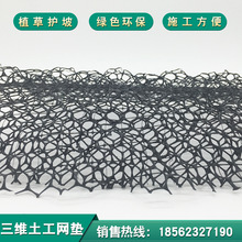 厂家直销三维土工网垫 塑料三维土工网 量大优惠批发三维土工网垫