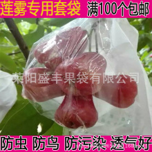 莲雾套袋莲雾专用日光袋半透明莲雾套袋专用袋荔枝套袋水果专用袋