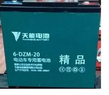 浙江天能免维护硅胶电池摆摊逆变器6-DZF-2012V20AH电动车48V20A