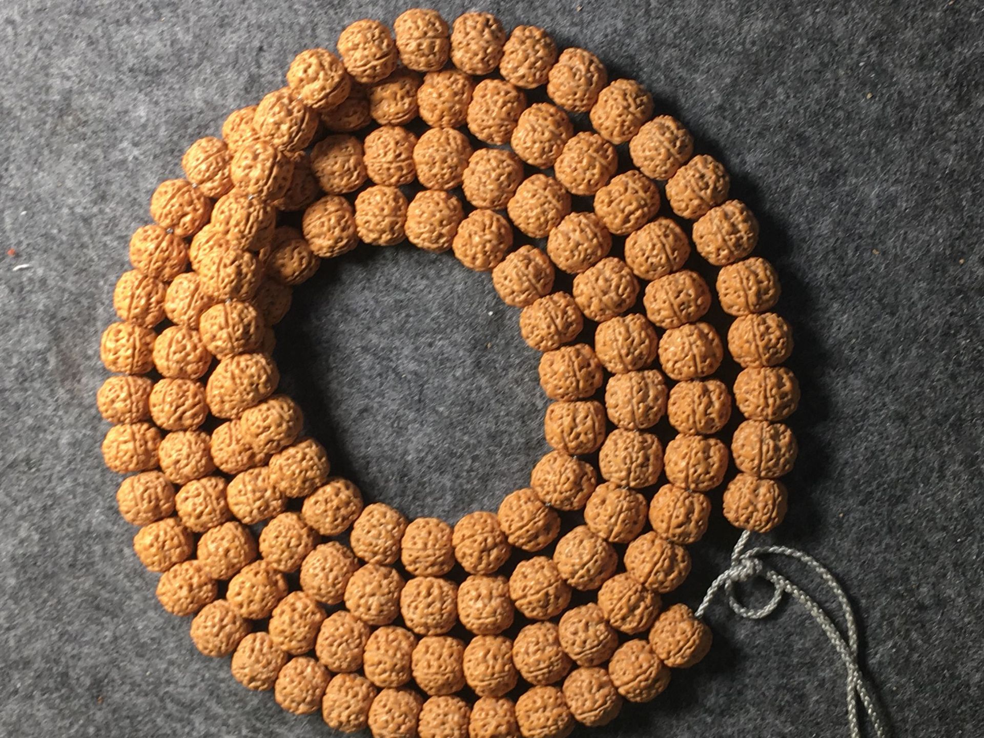 一手货源五瓣六瓣蜂窝树神小金刚 蜂窝双龙小金刚树王108颗