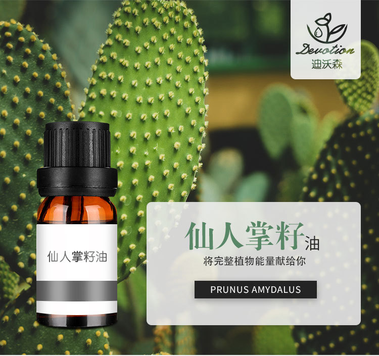 迪沃森仙人掌籽油原料仙人掌籽油精油