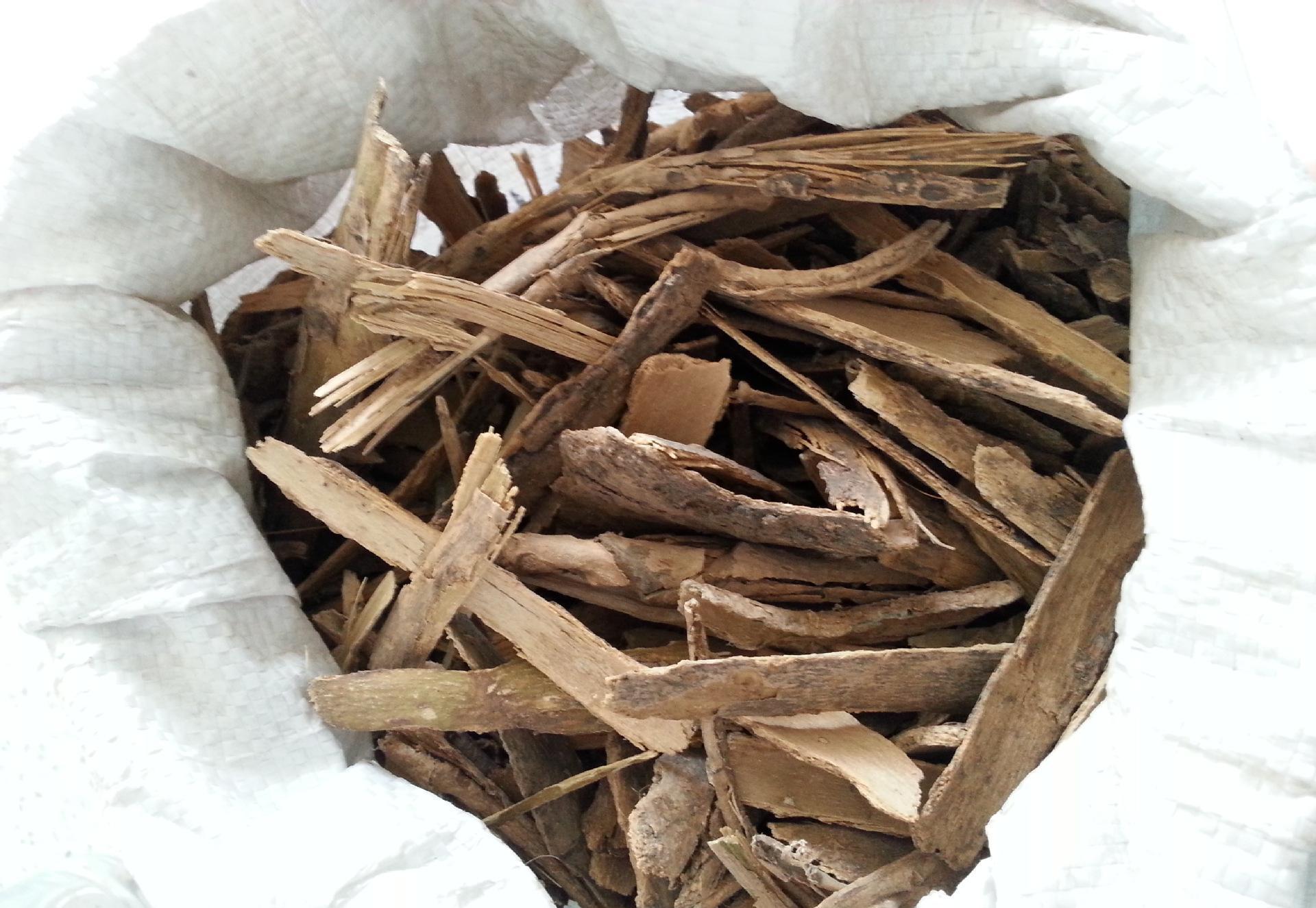 龙牙楤木刺老鸦虎阳刺刺龙牙鹊不踏一量大从优批发龙牙楤木中药材