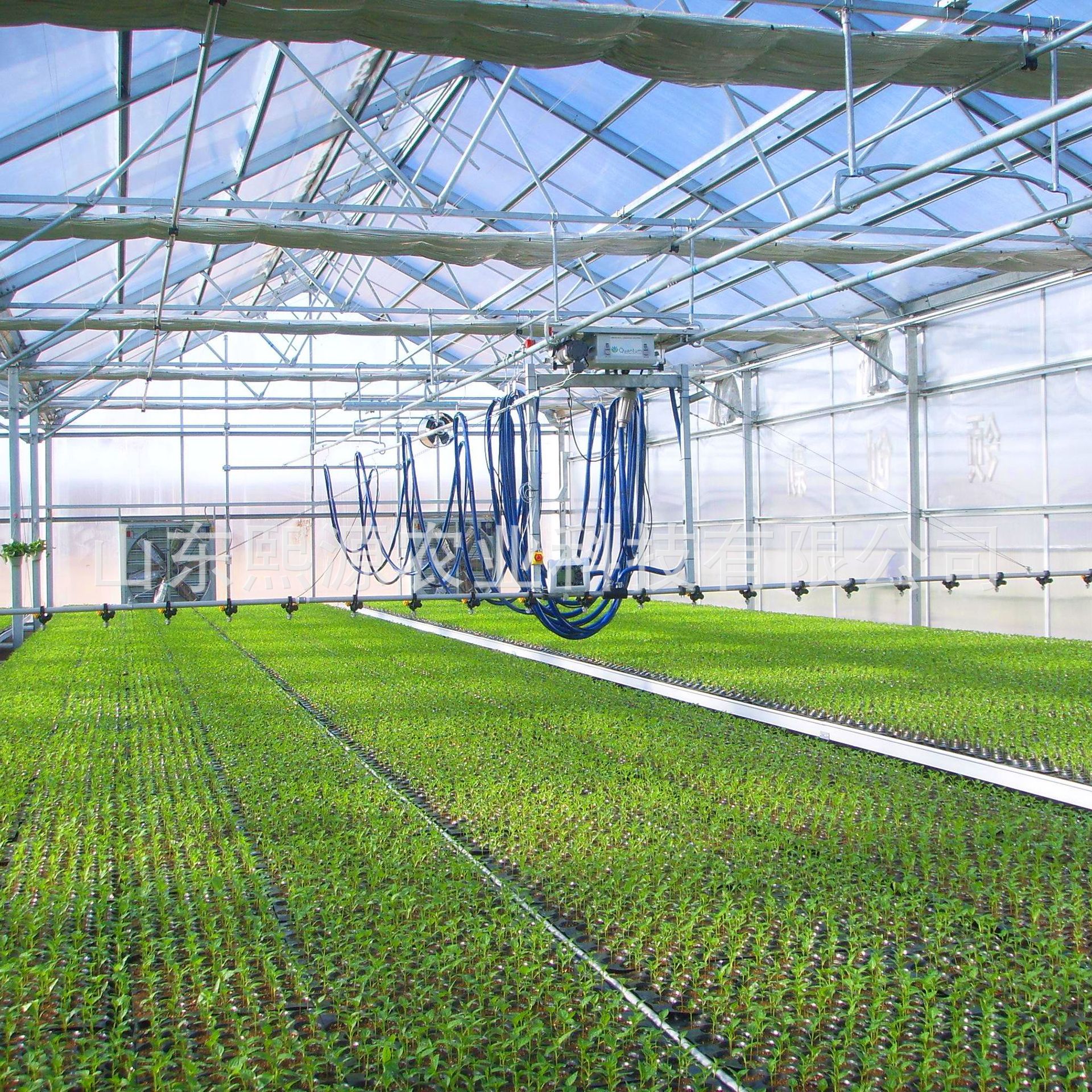 花卉苗床-花卉苗床批发,促销价格,产地货源 - 阿里巴巴