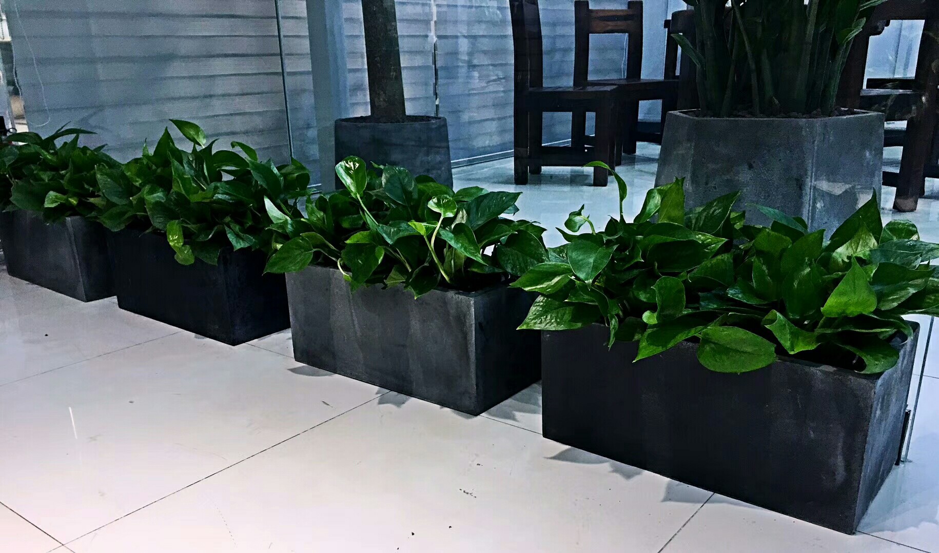 厂家定制花园道路大型氧化镁花槽 工程绿化楼顶隔热种植设备花箱