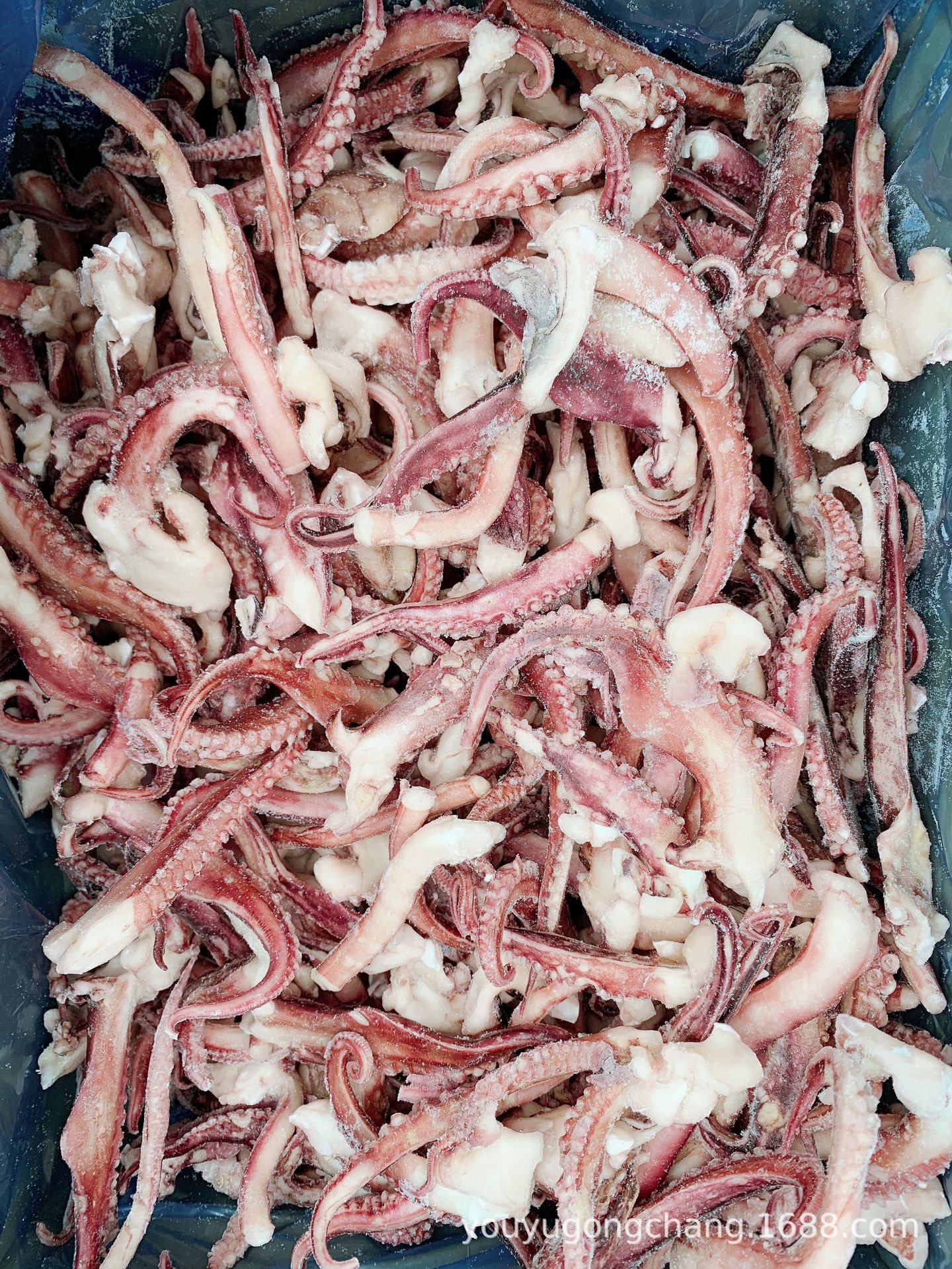 小规格 脆口章鱼足 章鱼须 冷冻章鱼须 山东鲜活冰冻海鱼批发