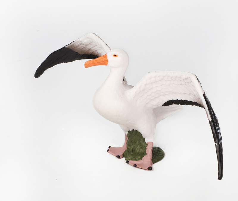 新品仿真动物模型 鸟类 信天翁大型海鸟塑料实心儿童认知科教摆件