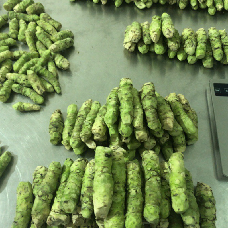 山葵新鲜蔬菜 1000g煲汤食材味辛冲芥末辣根云南新鲜山葵批发