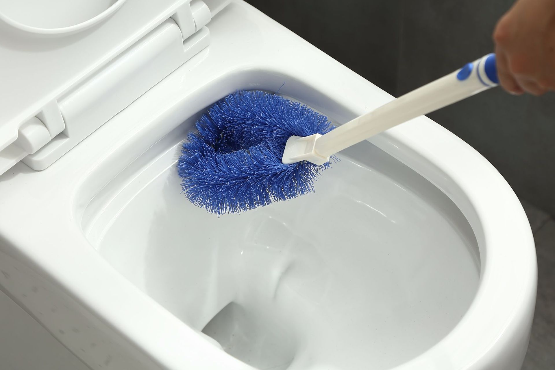 马桶刷_广东群购制品_义乌购