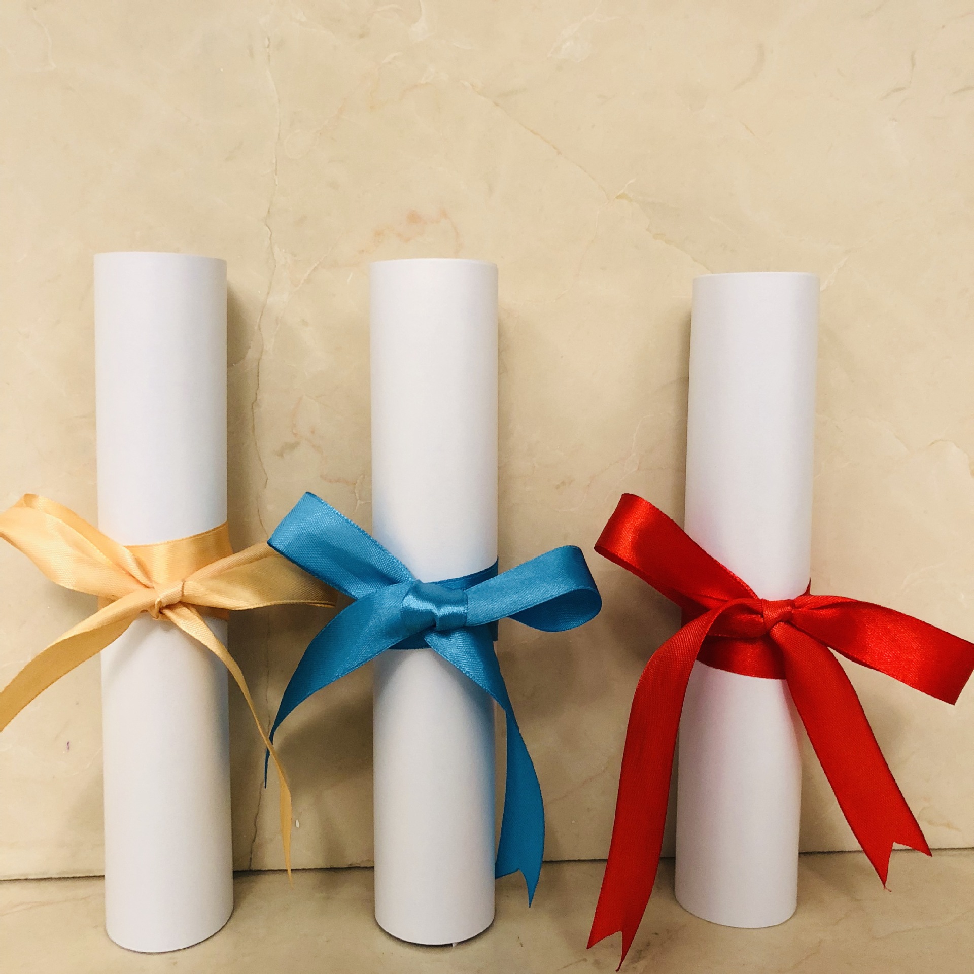 荣誉证书缎带燕尾蝴蝶结丝带毕业结业彩带红蓝色简约时尚中式扎带