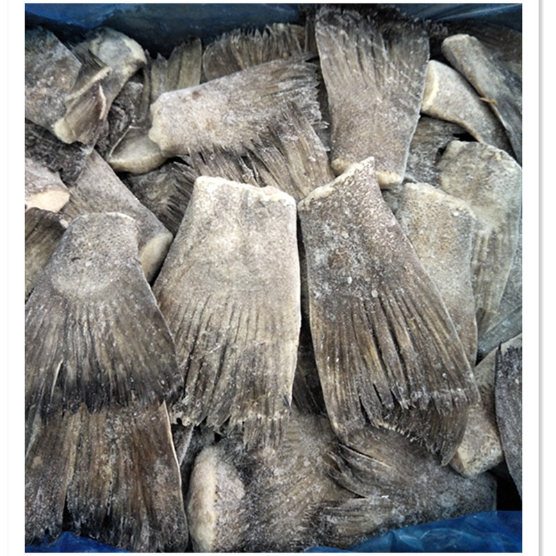 新鲜野生冷冻鸦片鱼尾20斤蝶鱼尾比目鱼头尾火锅小吃烧烤酒店食材