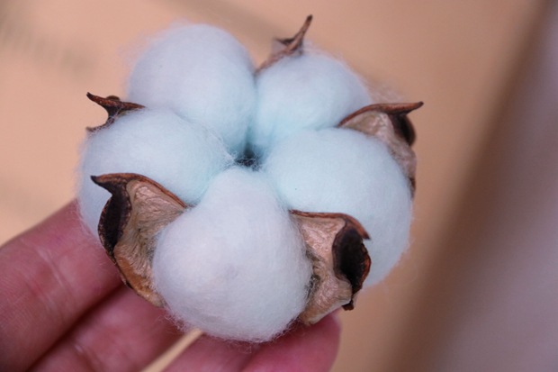 四瓣五瓣新疆长绒单支木棉花 手工棉花干花拍摄道具diy花材