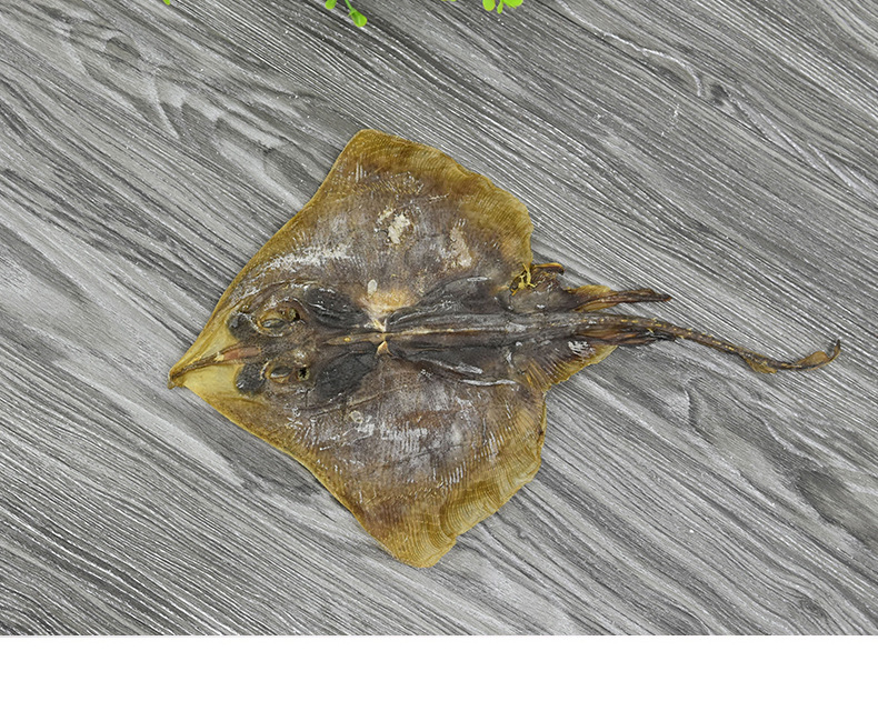 皮鱼干老板鱼干劳板鱼展销会黄夫瑶夫魔鬼鱼干500克g琵琶鱼