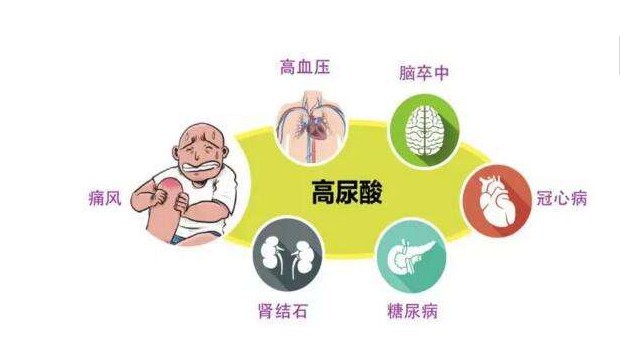 尿酸高吃什么好小方法帮你降尿酸,试试看