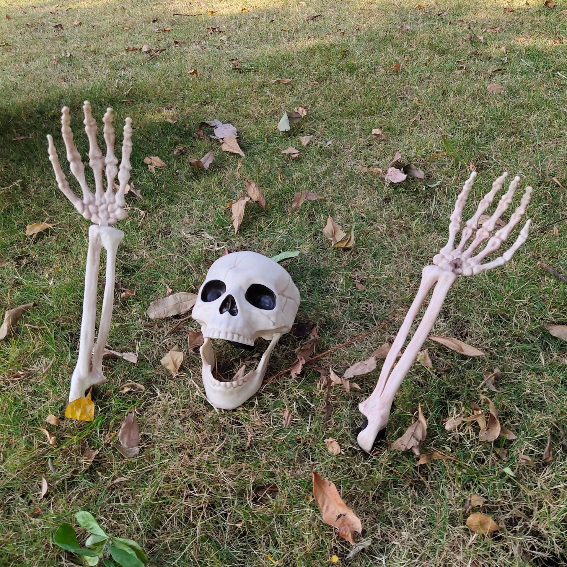 万圣节骷髅骨架 仿真人体塑料骷髅装饰鬼屋密室道具人体骨架装饰